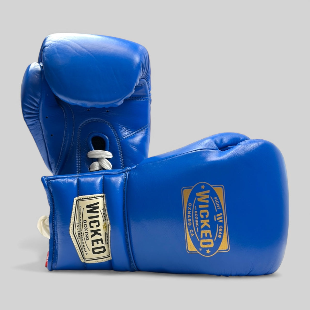 New Arrivals in Boxing Equipment - Wicked Boxing